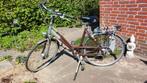 Mooie Gazelle damesfiets, Model Luzern, Goldline, Ophalen, 53 tot 56 cm, Versnellingen, Zo goed als nieuw