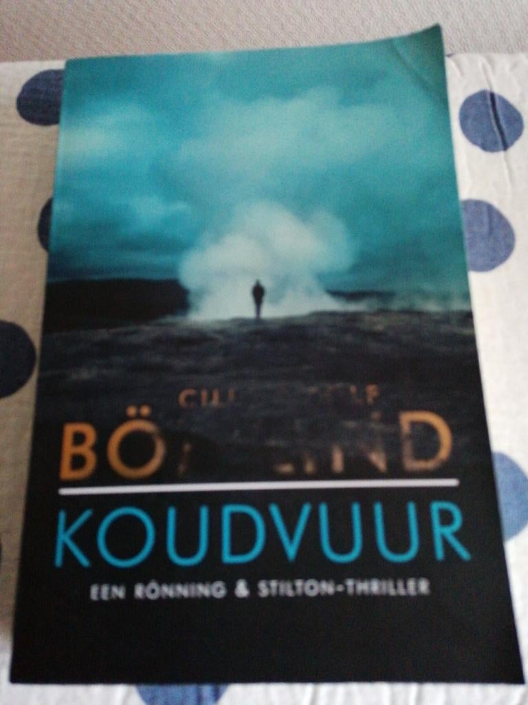 Cilla en Rolf Börjlind - Koudvuur, Boeken, Thrillers, Gelezen, Scandinavië, Ophalen of Verzenden