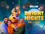 WALIBI Holland Bright Nights van € 44,50 voor € 28, Eén persoon, Ticket of Toegangskaart