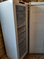 Vrieskast, Witgoed en Apparatuur, Vriezers en Diepvrieskisten, Ophalen, Gebruikt, 60 tot 90 cm, 160 cm of meer