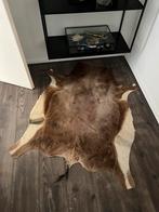 Prachtige Opgezette Blesbok Huid Vacht Taxidermie, Ophalen of Verzenden, Vogel, Opgezet dier