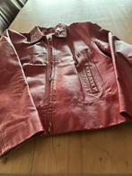 Donkerrood kort leren jasje merk Seal, Kleding | Dames, Ophalen of Verzenden, Gedragen, Rood