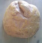 EXO TERRA terranium grot reptielen grot VASTE PRIJS, Dieren en Toebehoren, Ophalen of Verzenden, Gebruikt, Overige typen