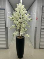 Mooi schelpenvazen, Ophalen of Verzenden, Zo goed als nieuw