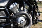 Harley-Davidson V-Rod Muscle, Motoren, Motoren | Harley-Davidson, Chopper, Bedrijf, Meer dan 35 kW, 1250 cc