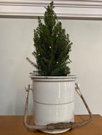 Twee Prachtige Emmers⭐️, Ophalen of Verzenden, Overige vormen, Minder dan 25 cm