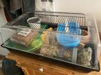 Hamsterkooi + benodigdheden, Dieren en Toebehoren, Ophalen, Minder dan 75 cm, Kooi, Minder dan 60 cm