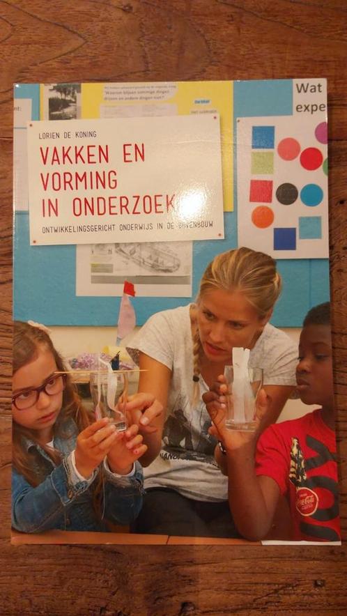 Lorien de Koning - Vakkennis opbouwen in onderzoek, Boeken, Wetenschap, Zo goed als nieuw, Ophalen of Verzenden