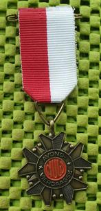 Medaille -  5 maal avondvierdaagse ., Ophalen of Verzenden, Overige materialen, Nederland