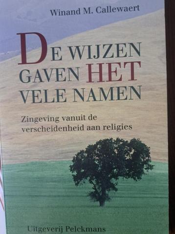 DE WIJZEN GAVEN HET VELE NAMEN - Winand M. Callewaert beschikbaar voor biedingen
