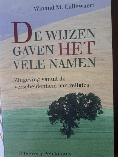DE WIJZEN GAVEN HET VELE NAMEN - Winand M. Callewaert, Boeken, Godsdienst en Theologie, Christendom | Katholiek, Ophalen of Verzenden