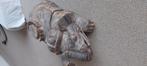 Houten olifant uit Indonesie, Antiek en Kunst, Ophalen