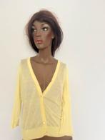 Vest Expresso, Kleding | Dames, Truien en Vesten, Ophalen of Verzenden, Zo goed als nieuw, Maat 38/40 (M), Geel