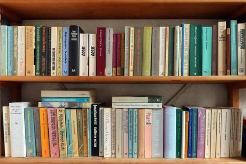 wereldliteratuur in Nederlandse vertaling, Boeken, Literatuur, Zo goed als nieuw, Wereld overig, Ophalen of Verzenden