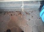 hout met historie, Doe-het-zelf en Verbouw, Hout en Planken, Ophalen, Gebruikt, Overige houtsoorten, Balk