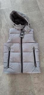 Bodywarmer Malelions 176 NIEUW, Ophalen of Verzenden, Nieuw, Jongen, Jas