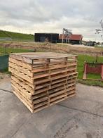 Pallets 1,20x1,60 - Oudenhoorn, Ophalen of Verzenden