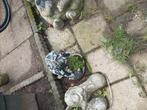 Tuin beelden per stuk prijs € 5.00, Tuin en Terras, Ophalen of Verzenden, Kunststof