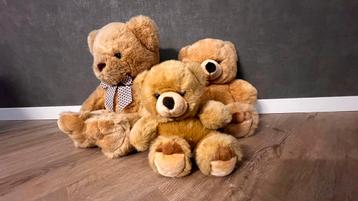December tip beren familie beschikbaar voor biedingen