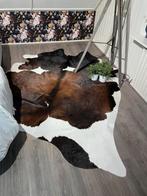 Koehuid / koe kleed, Ophalen, 150 tot 200 cm, 200 cm of meer, Zo goed als nieuw