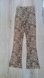 Flared broek maat 152/158, Ophalen, Zwart, Zo goed als nieuw, Maat 34 (XS) of kleiner