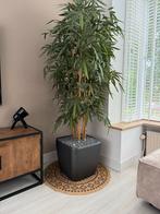 Kunst bamboe plant in pot, Huis en Inrichting, Kamerplanten, Ophalen, Overige soorten, Halfschaduw, In pot