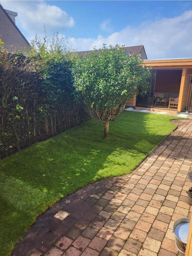 Gratis Abbystones - tuintegels stenen +/- 100 m2, Tuin en Terras, Tegels en Klinkers, Gebruikt, Klinkers, Beton, 10 m² of meer