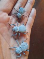 Kweek trio blue death feigning beetles, Overige soorten