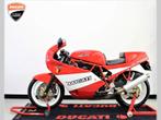 DUCATI 900 SUPERSPORT - org.NL - UNIEK - 2e eigenaar -, Motoren, 2 cilinders, Bedrijf, Sport, Meer dan 35 kW