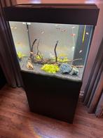 Juwel Lido 120 + onderkast (zwart) incl. alle benodigdheden, Dieren en Toebehoren, Vissen | Aquaria en Toebehoren, Ophalen, Zo goed als nieuw