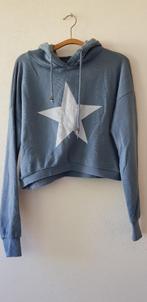 Truien en vesten, Kleding | Dames, Truien en Vesten, Ophalen of Verzenden, Gedragen, Maat 38/40 (M), Overige kleuren