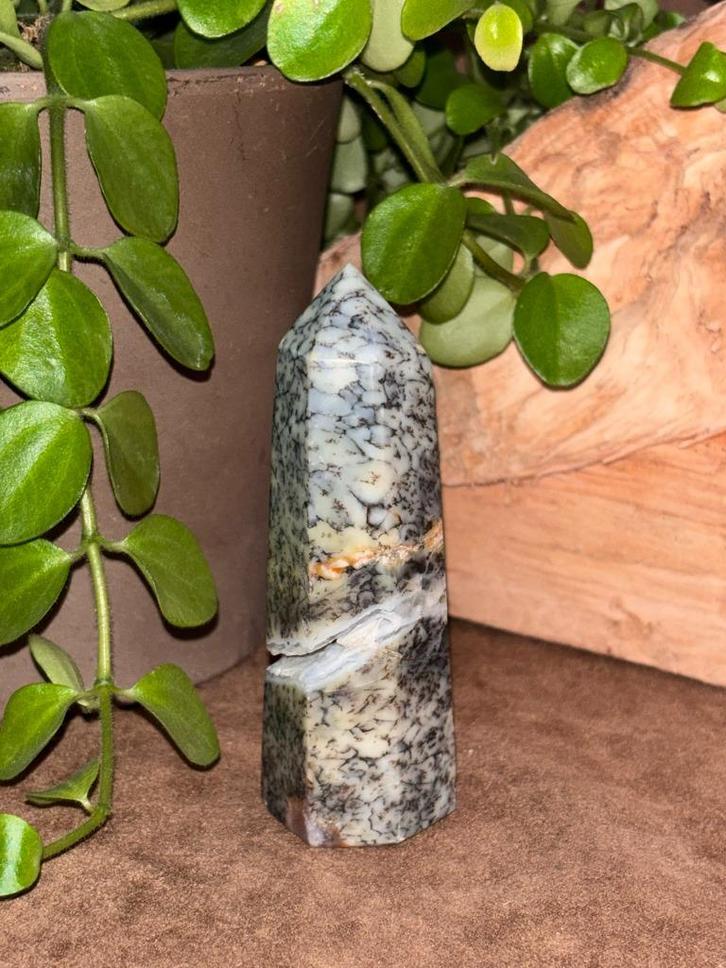 Dendriet Agaat punt, Verzamelen, Mineralen en Fossielen, Mineraal, Ophalen of Verzenden