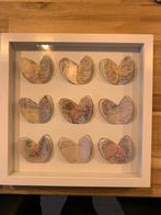 Lijsten met wereldkaarten, Ophalen of Verzenden, Zo goed als nieuw, Hout, Minder dan 50 cm