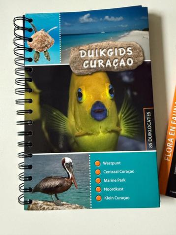 Duikgids Curaçao met determinatie kaart beschikbaar voor biedingen