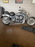 Harley Davidson Chopper VRSCA V-Rod 4400Mls !!, 1150 cc, 2 cilinders, Chopper, Particulier