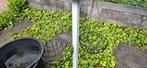 2 Hanging baskets, Ophalen, Kunststof, Gebruikt, Minder dan 30 cm
