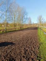 1 plek vrij op ons paarden paradijs in Lieren, Dieren en Toebehoren, Stalling en Weidegang, 1 paard of pony, Weidegang