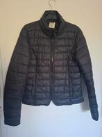Lekker licht gewicht  gewatteerd dames Jack Only maat M, Ophalen of Verzenden, Zo goed als nieuw, Blauw