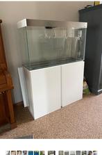 Hamster/muizenverblijf, Ophalen, Overige typen, 90 cm of meer, Hamster