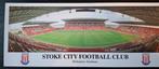2x Ansichtkaart Stoke City, Ophalen, Zo goed als nieuw, Buitenlandse clubs, Poster, Plaatje of Sticker