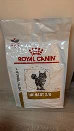 Royal Canin urinary s/o 7kg, Ophalen, Kat