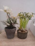 Kunstplantjes  2 voor 3 00, Ophalen of Verzenden, Zo goed als nieuw