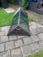 Gratis Konijnenhok, Ophalen, 60 tot 90 cm, Cavia, Hok