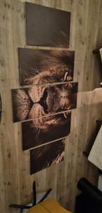 Leeuw Canvas - 5 Delig, Ophalen, Zo goed als nieuw