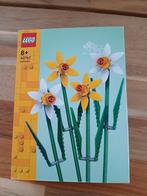 LEGO 40747 Narcissen - Nieuw in doos!, Ophalen of Verzenden, Nieuw, Complete set, Lego