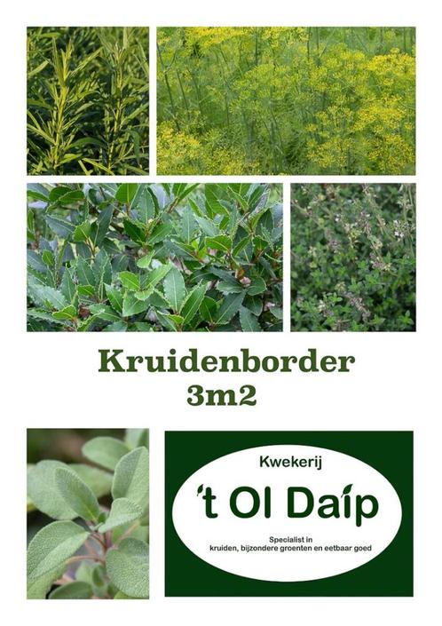 Klassieke Kruiden border 3 m2, Tuin en Terras, Planten | Tuinplanten, Kruiden, Volle zon, Ophalen of Verzenden