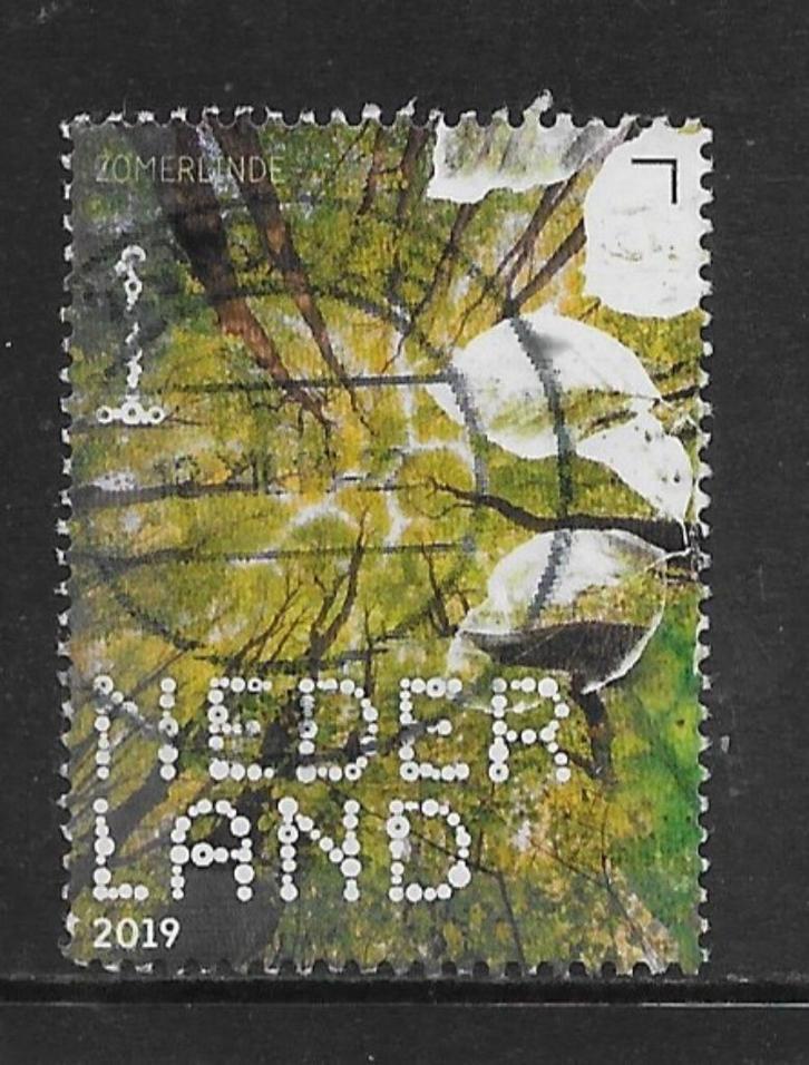 2019, Bomen en Bladeren, Zomerlinde [3777] (K0726), Postzegels en Munten, Postzegels | Nederland, Ophalen of Verzenden