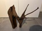 Aquarium hout mangrove, Ophalen of Verzenden, Gebruikt, Plant(en), Steen of Hout
