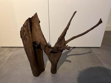 Aquarium hout mangrove beschikbaar voor biedingen