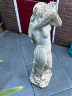 Tuinbeeld, Tuin en Terras, Tuinbeelden, Ophalen of Verzenden, Gebruikt